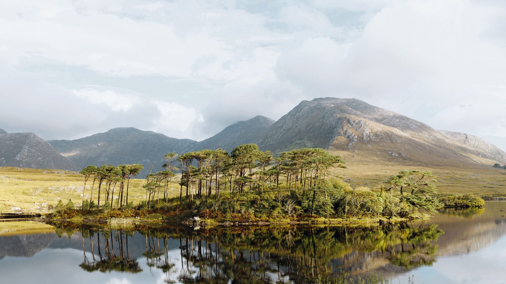 Connemara