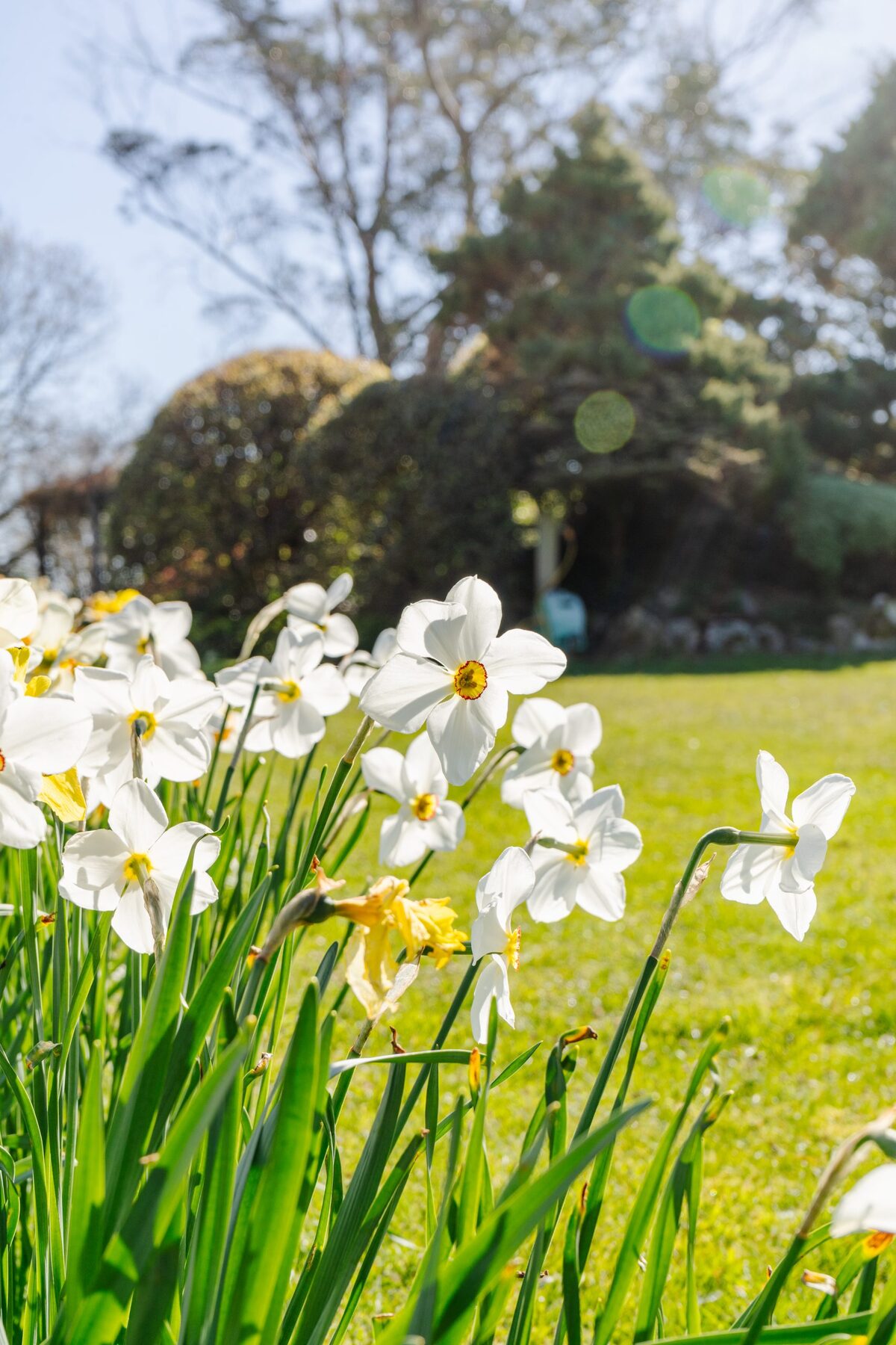 Ilsington Country House Hotel & Spa — The gardens