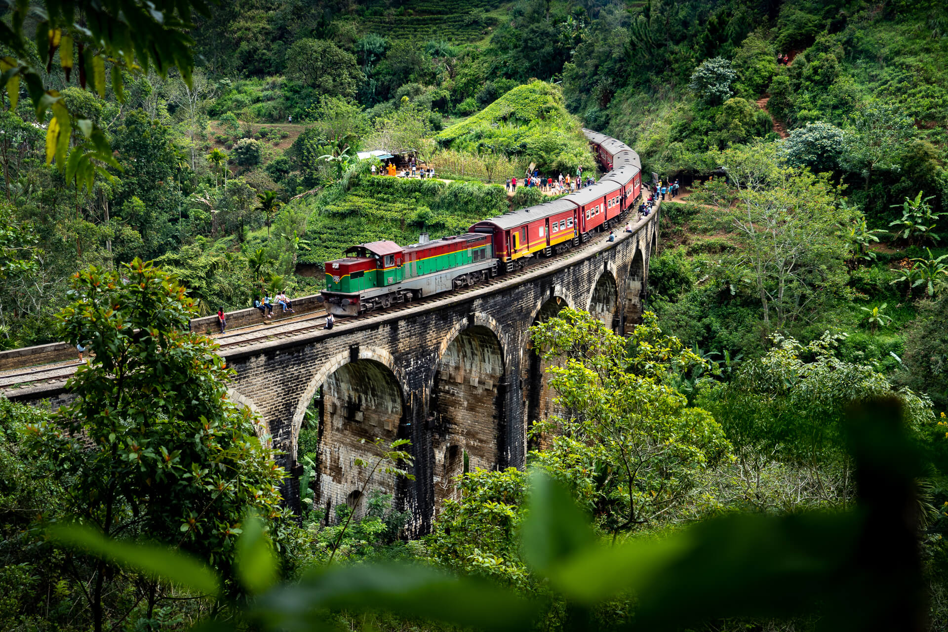Scenic Train Journey to Ella