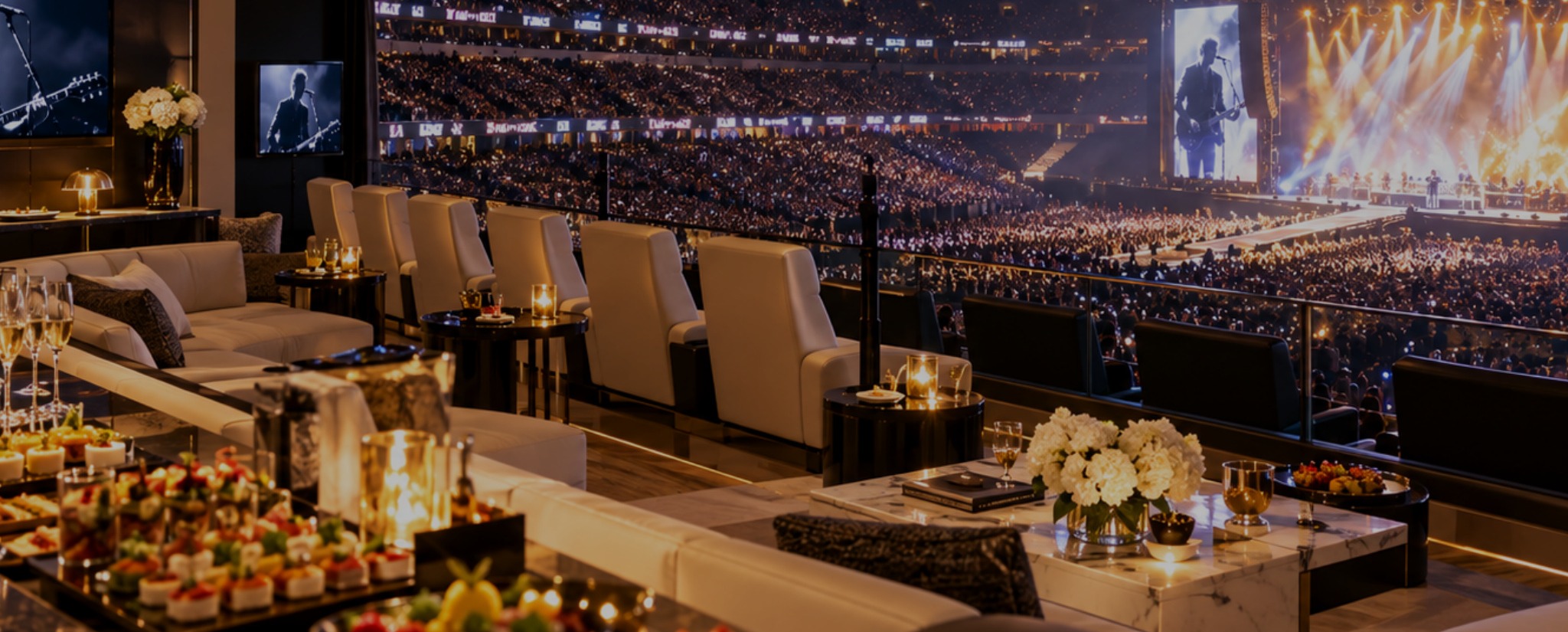 Our private VIP suite overlooking the stage